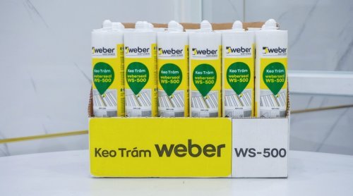 Keo silicone Weber WS-500